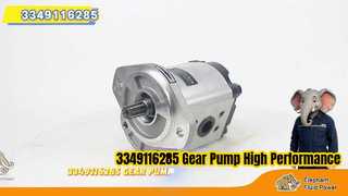 3349116285 Pompa Roda Gigi