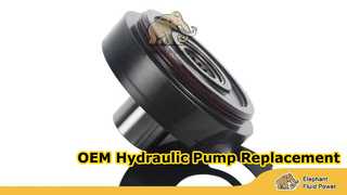 A10VG45-F02 dan T13 大象45 foto 1