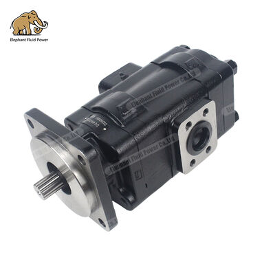 D149283 Parker Cast Iron Gear Pump Kompatibel Alternatif