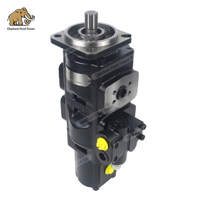 Kompatibel dengan Parker 20/925732 Cast Iron Gear Pump.